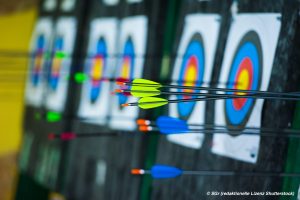 Archery. Arrows in archery target on archery range